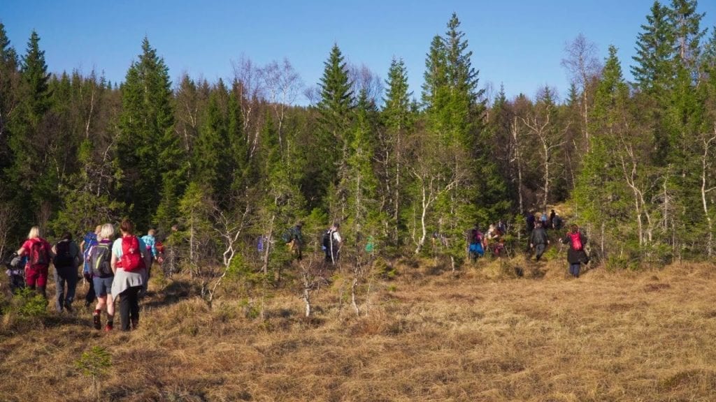 Gangarlaje