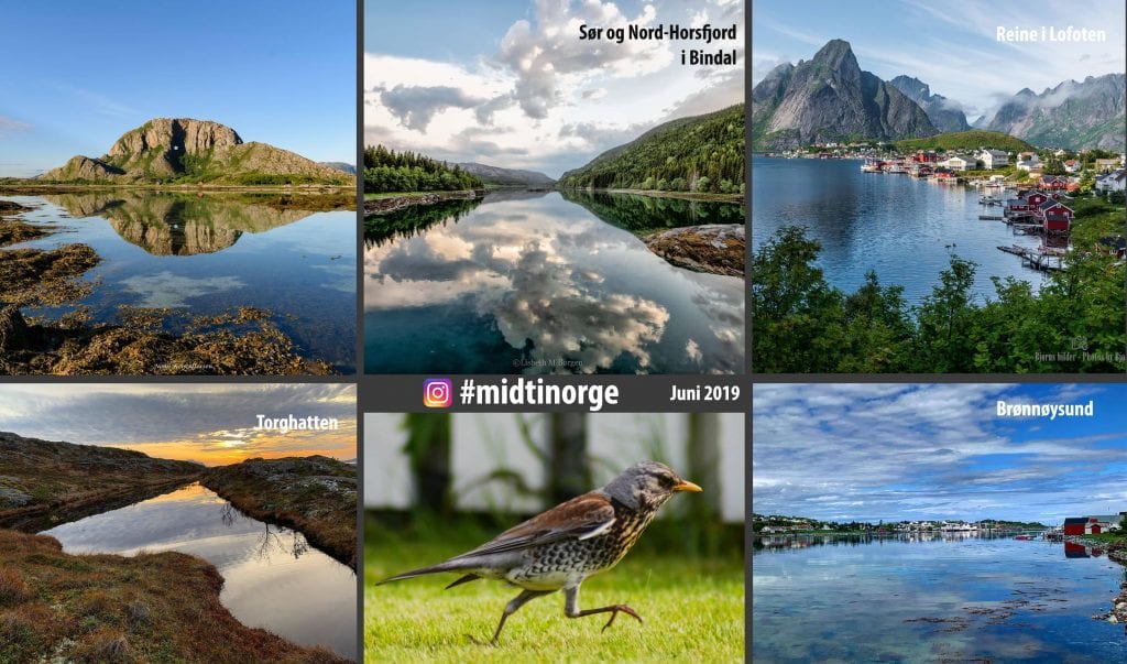 Vi har trukket fotovinneren for juni!