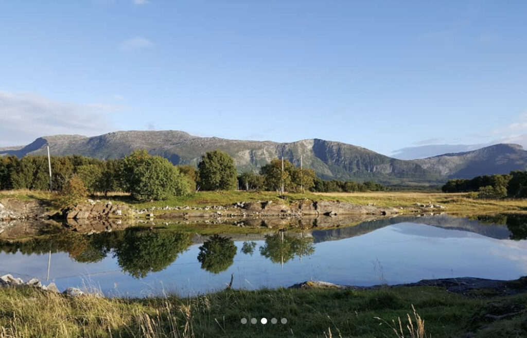 Fotovinner i september!