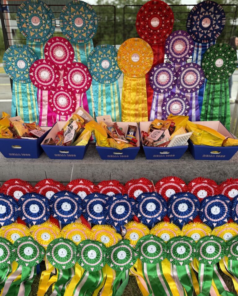 Helgeland Hundefestival 2026