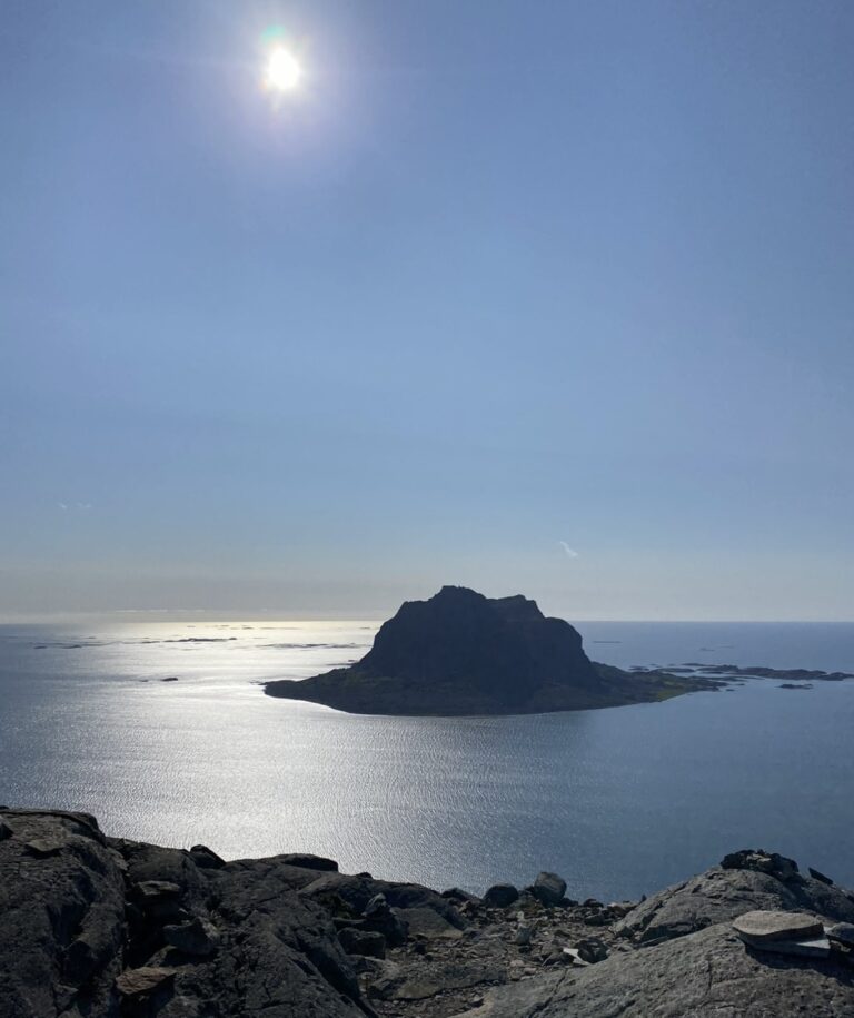 Vegabølgen 2026
